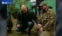 爱抚视频,探索情感交融的视觉艺术